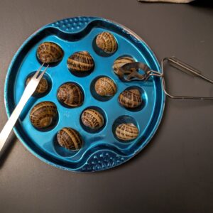 Special offer 1 kg Helix Aspersa Muller snails (Escargot) and Escargot dish with cutlery